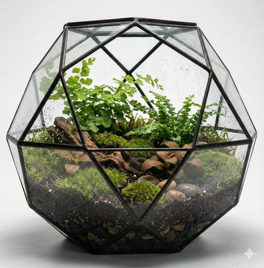 10-Inch Wardian Case Terrarium DIY Kit with Live Plants and Moss