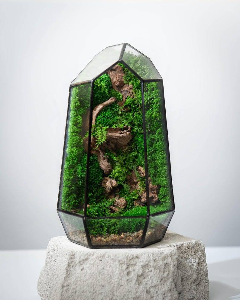 Geometric Glass Terrarium with Preserved Moss and Driftwood